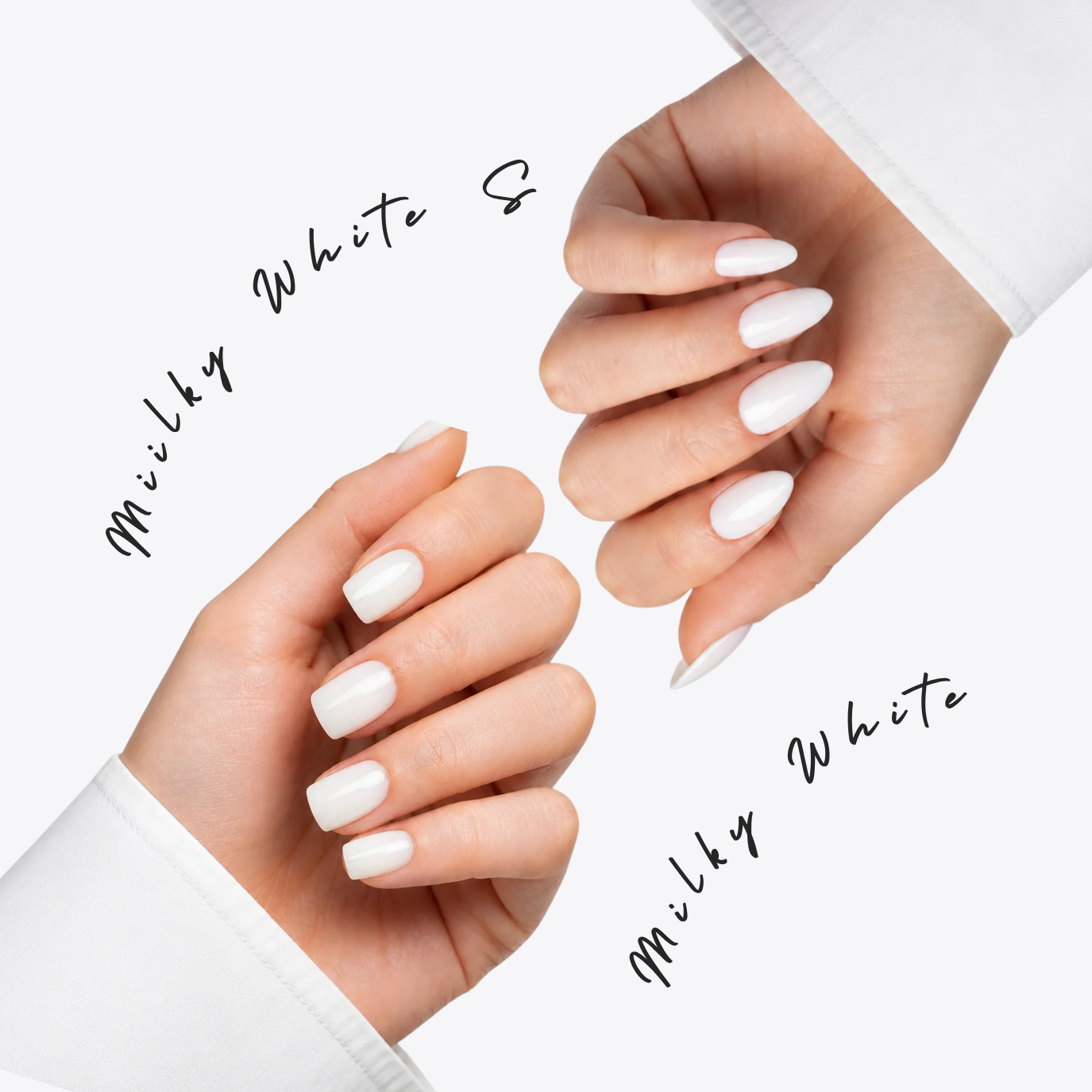 Milky White Duo