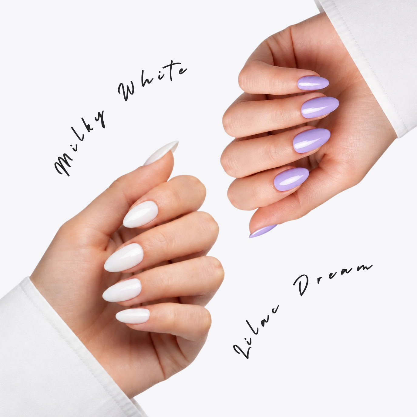 Milky Dream Duo