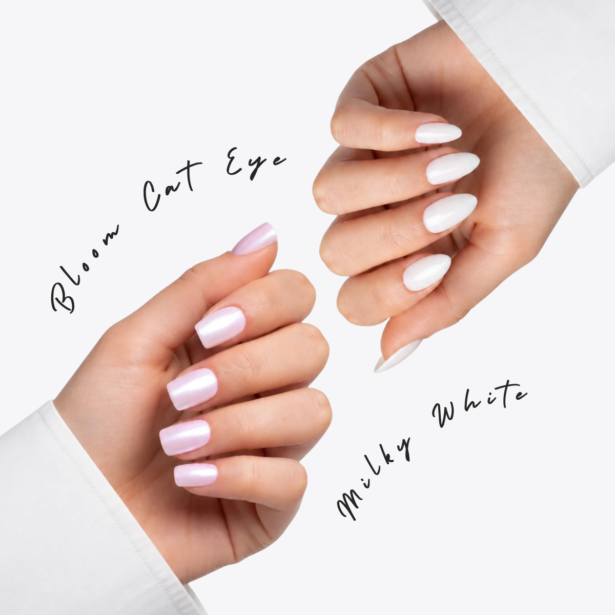 Milky Bloom Duo